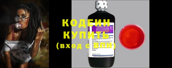 МДПВ Дмитриев