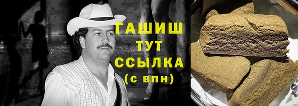 МДПВ Дмитриев