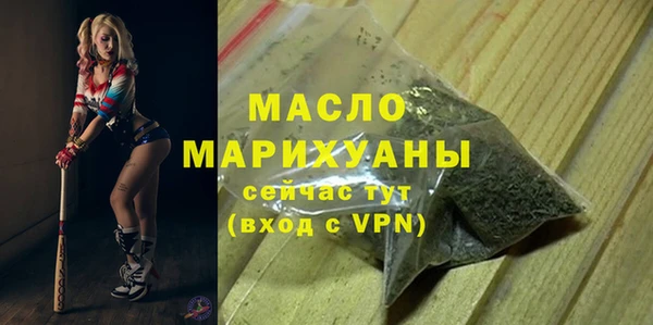 МДПВ Дмитриев