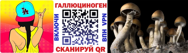 Галлюциногенные грибы мицелий  Купить  Кингисепп 