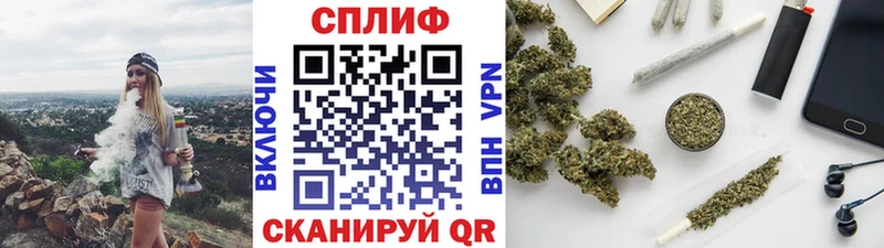 Шишки марихуана планчик Купить Кингисепп
